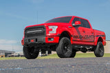 Rough Country 70193BDA Mesh Grille Ford F-150 2WD/4WD (15-17)