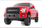 Rough Country 70193 Mesh Grille Ford F-150 2WD/4WD (15-17)