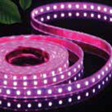 Heise H-PK550 5050 Pink Light Strip - 5 Meter, 60 LED