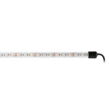 Heise RGBW1-UNDGLED Improved RGBW Underglow LED - 4 Piece Kit