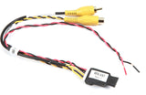 PAC Audio Video Adapter and Video Signal Filter
